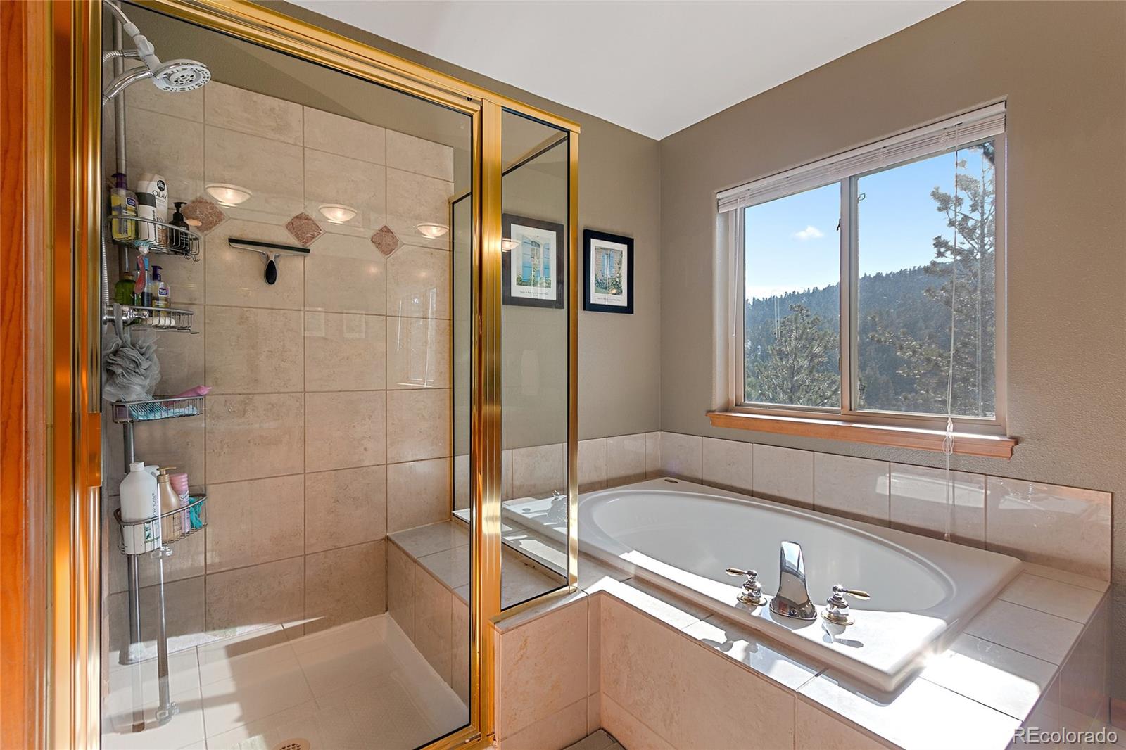 27174 Sun Ridge Drive Evergreen, CO 80439 - Photo 18 of 34 Gallery Image 18