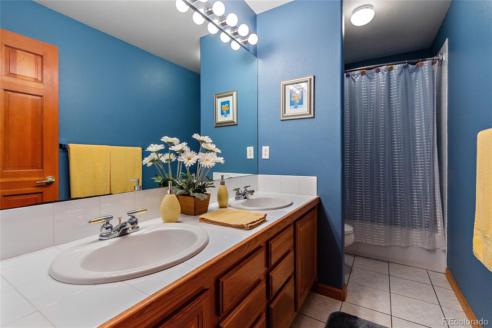 27174 Sun Ridge Drive Evergreen, CO 80439 - Photo 21 of 34 Gallery Image 21