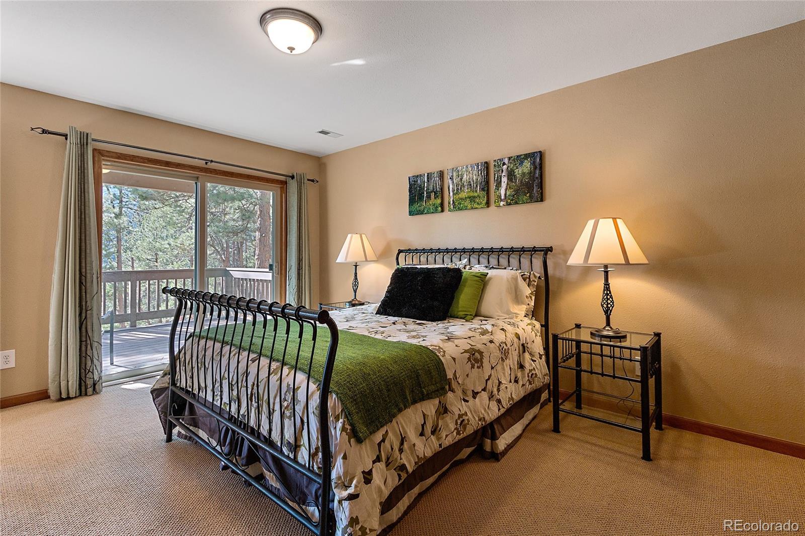 27174 Sun Ridge Drive Evergreen, CO 80439 - Photo 27 of 34 Gallery Image 27