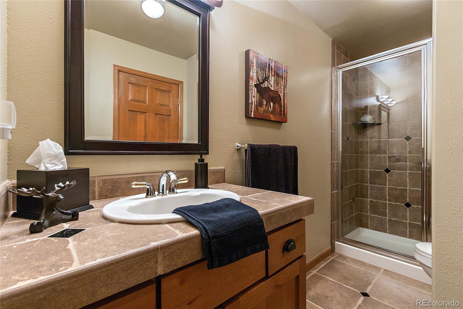 27174 Sun Ridge Drive Evergreen, CO 80439 - Photo 29 of 34 Gallery Image 29