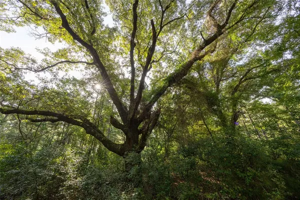 a backyard of a house with lots of trees