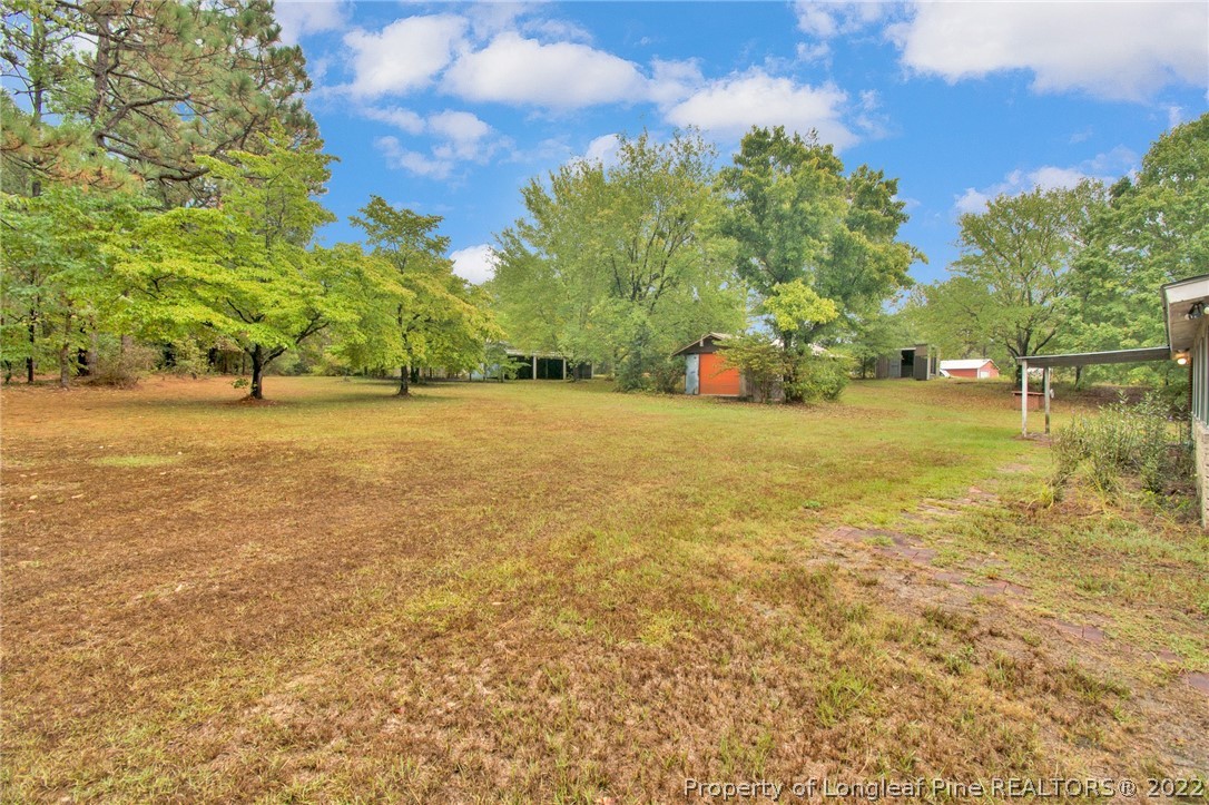 789 Docs Road Lillington, NC 27546 - Photo 34 of 35 Gallery Image 34