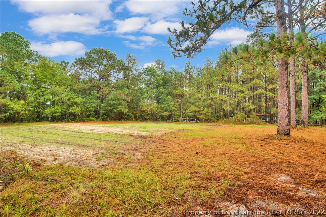 789 Docs Road Lillington, NC 27546 - Photo 35 of 35 Gallery Image 35