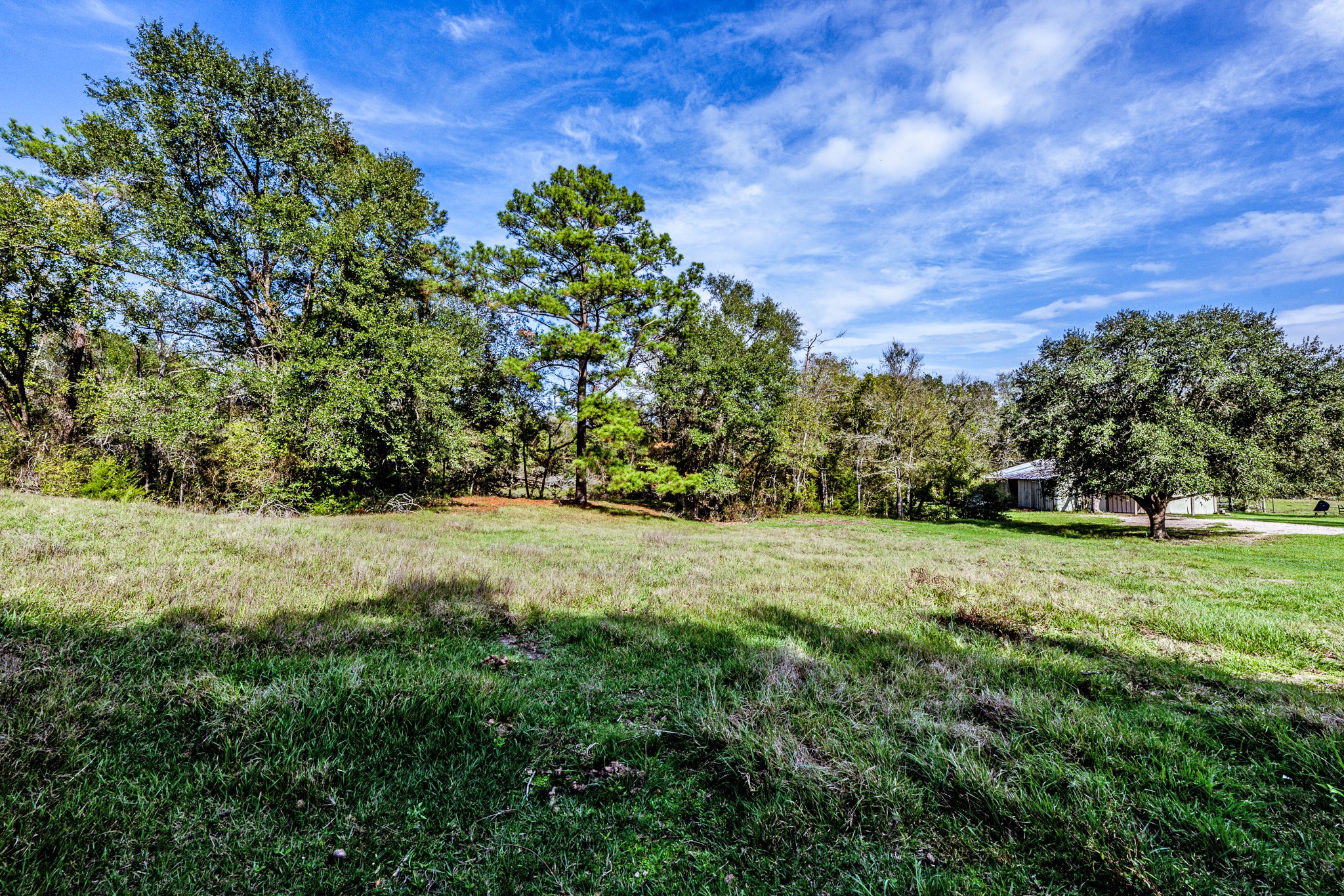 290 Townley Ranch Road Huntsville, TX 77320 - Photo 45 of 50