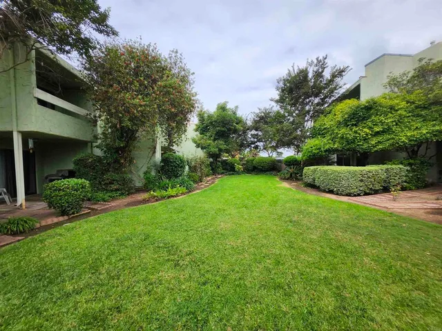 a view of a backyard with potted plants and large trees