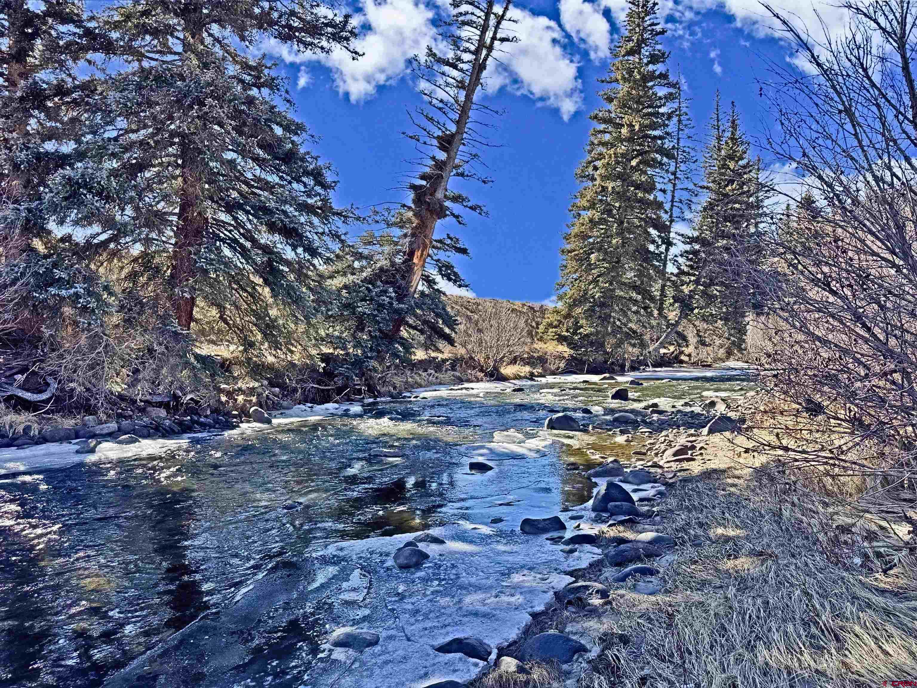 0 Beaver Creek Road South Fork, CO 81154 - Photo 5 of 14 a view of a yard with lots of bushes