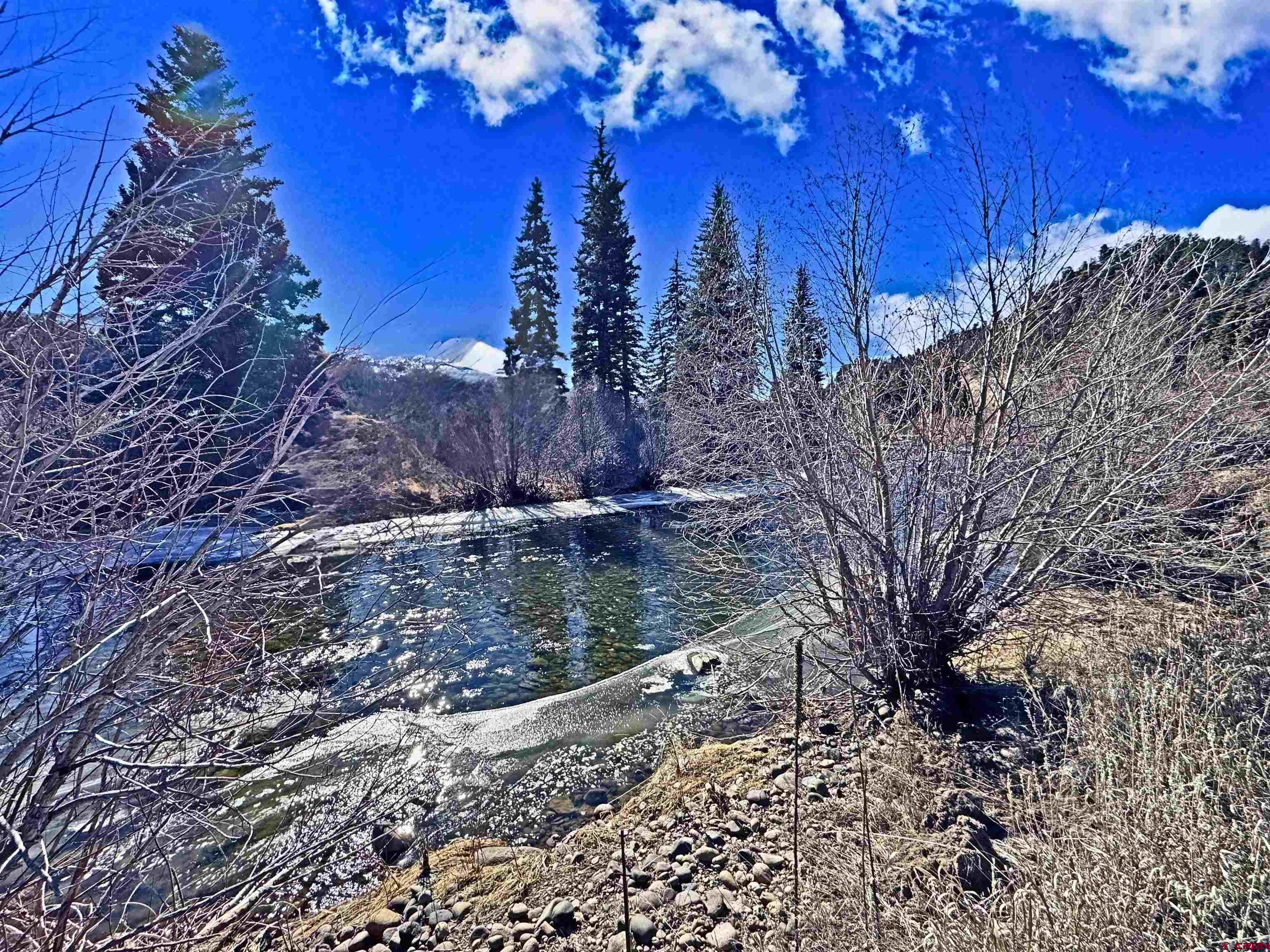 0 Beaver Creek Road South Fork, CO 81154 - Photo 8 of 14 a view of a yard with a tree