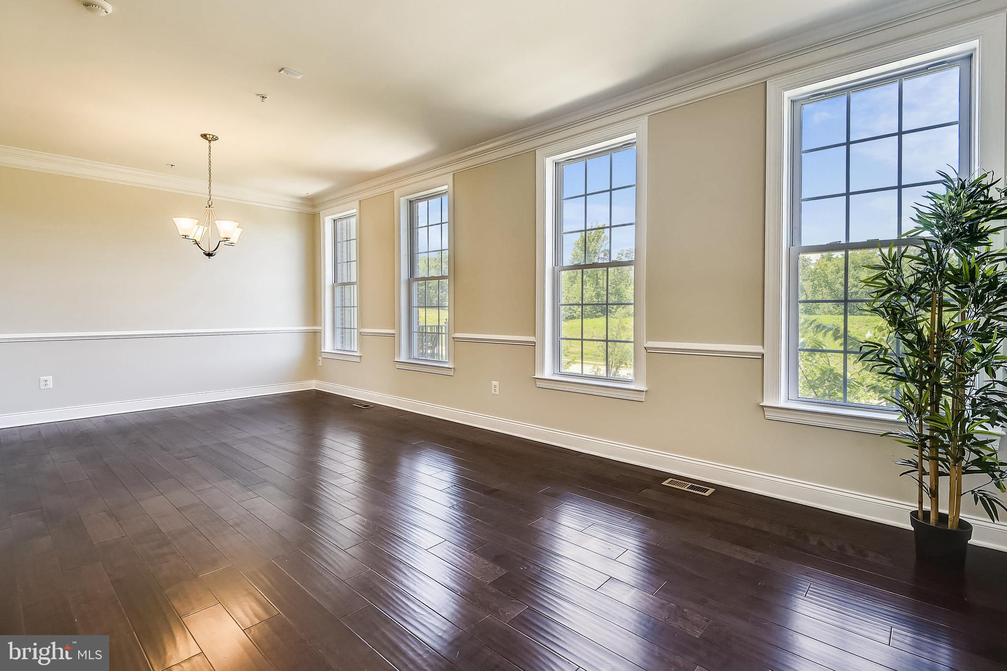 7670 Elmcrest Road Hanover, MD 21076 - Photo 16 of 70 ML: No worry about Natural Light
