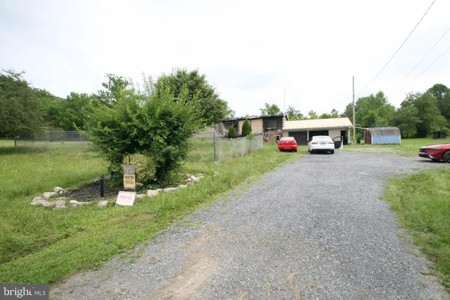 a view of a park with large trees