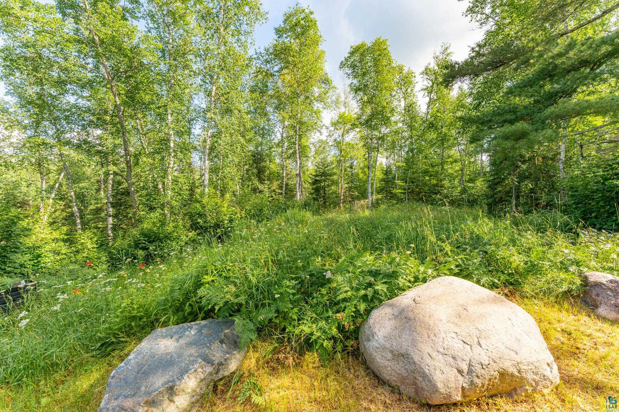 1911 Grouse Ridge Road Ely, MN 55731 - Photo 31 of 42 View of nature