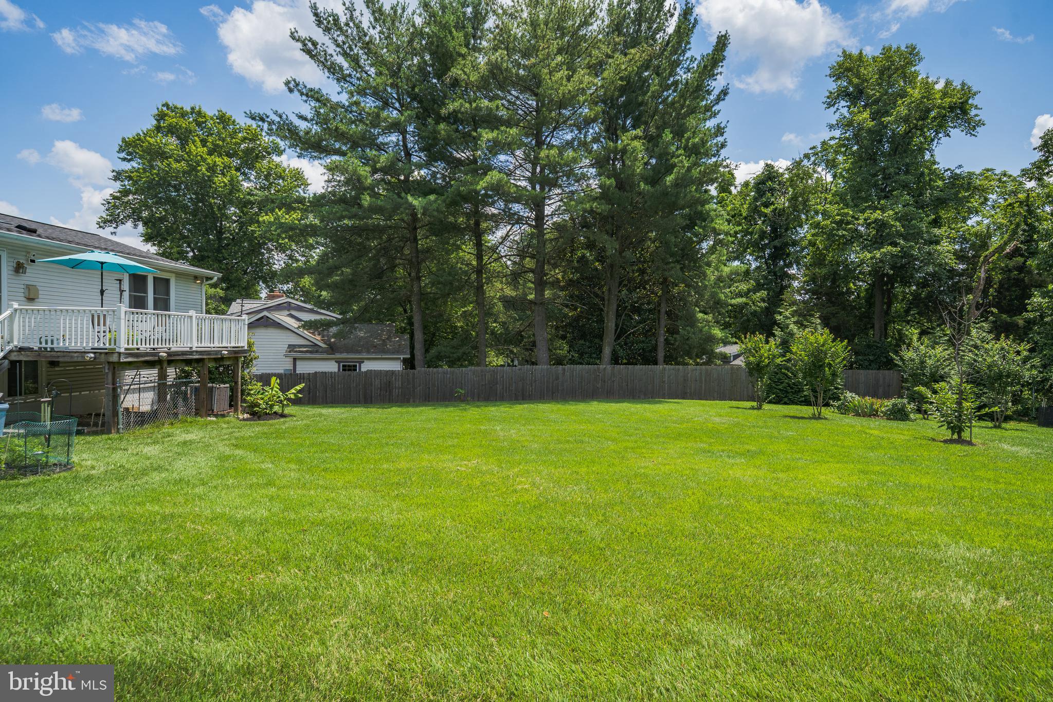 15408 Valencia Street Silver Spring, MD 20905 - Photo 26 of 27 Backyard