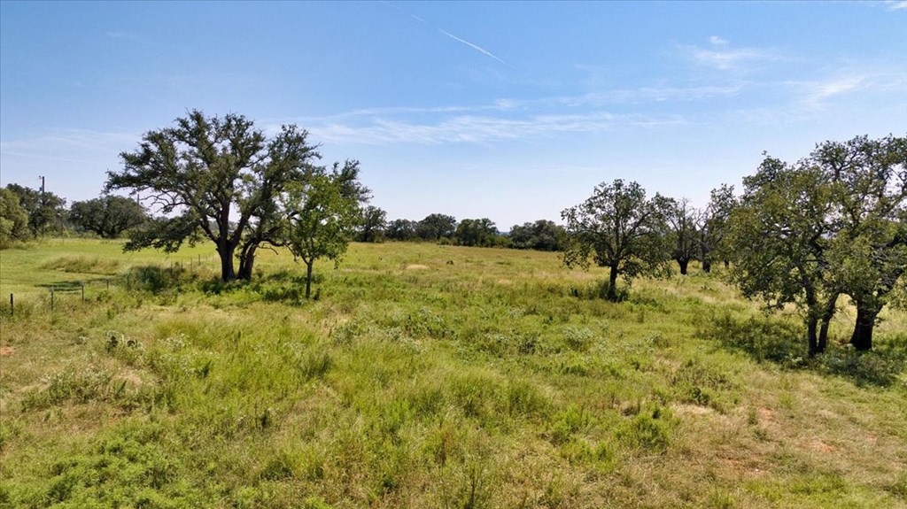 4773 Behrens School Road Fredonia, TX 76842 - Photo 20 of 27 a view of a yard with a tree