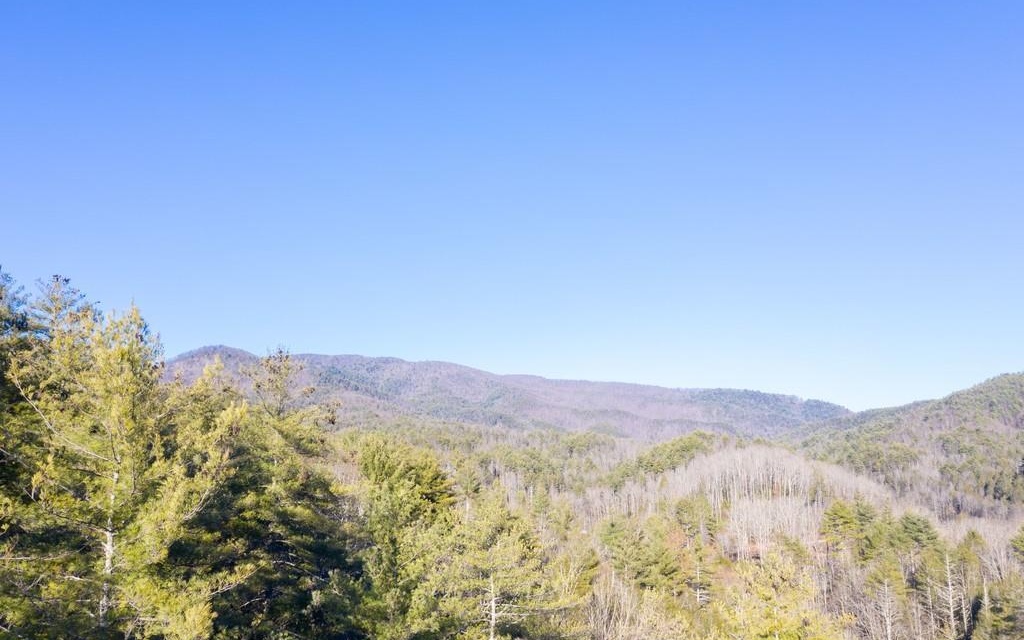 10323 Grassy Mountain Road Ellijay, GA 30536 - Photo 66 of 71 Additional View