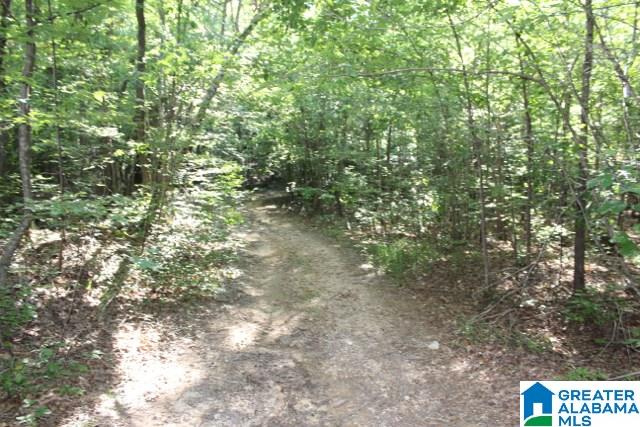 1 Benefield Gap Road Attalla, AL 35954 - Photo 35 of 50