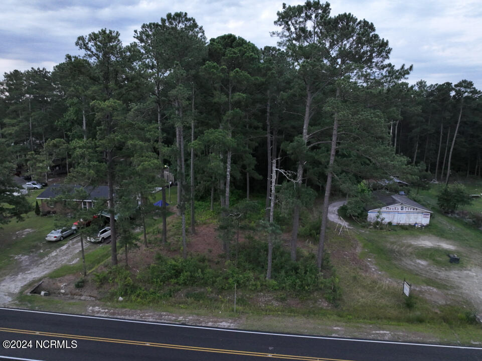0 Meadow Road Kenly, NC 27542 - Photo 3 of 56 3