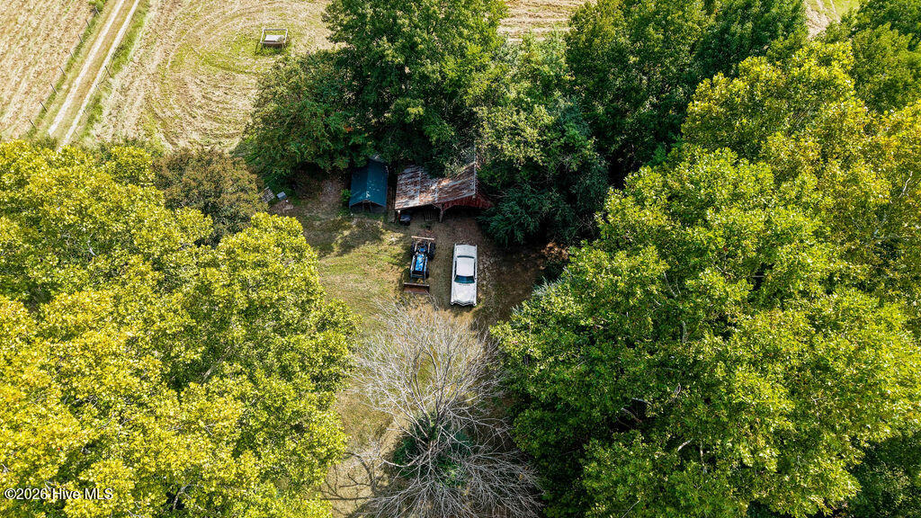 1460 Willeyton Road Gates, NC 27937 - Photo 79 of 106 DJI_20260921113647_0031_D-HDR
