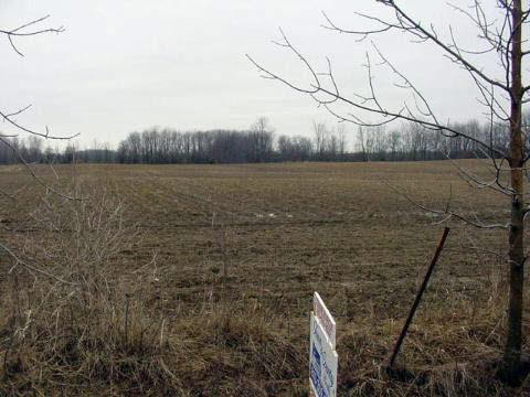 0 A And B Ridge Road Applegate, MI 48401 - Photo 8 of 17 909666-7.JPG