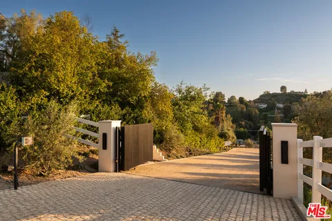 a view of a yard with plants and trees