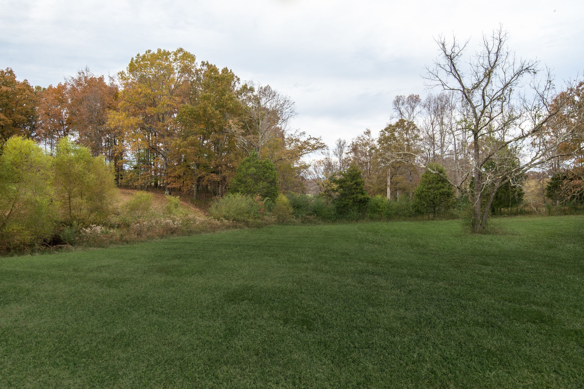 895 Goslin Branch Road Burns, TN 37029 - Photo 27 of 30 a view of a field of grass and trees
