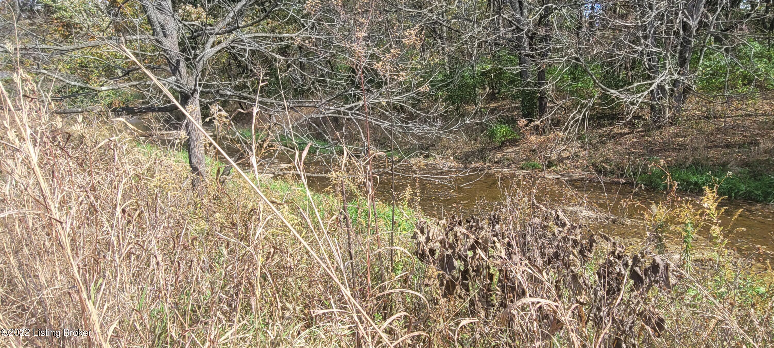 Lot #7 Hochstrasser Road Fisherville, KY 40023 - Photo 5 of 18 20221021_135400