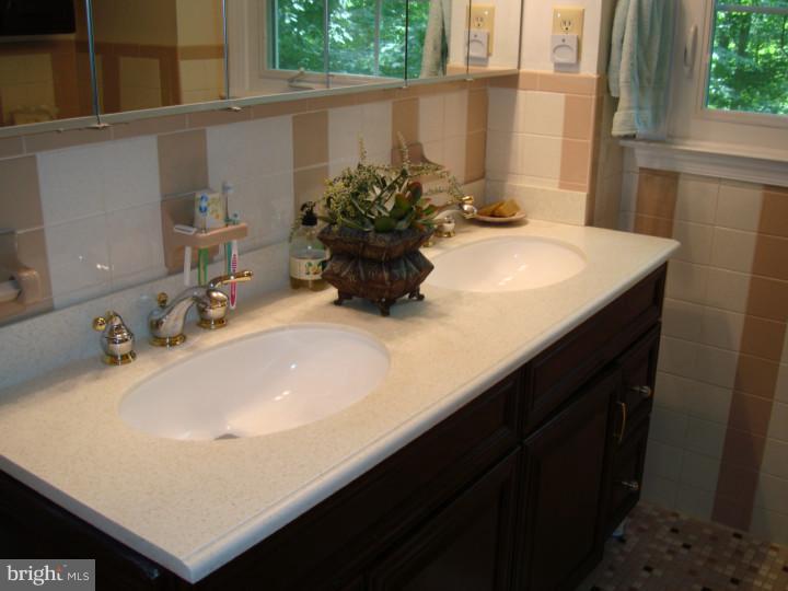 750 Weadley Road Wayne, PA 19087 - Photo 17 of 22 Bathroom
