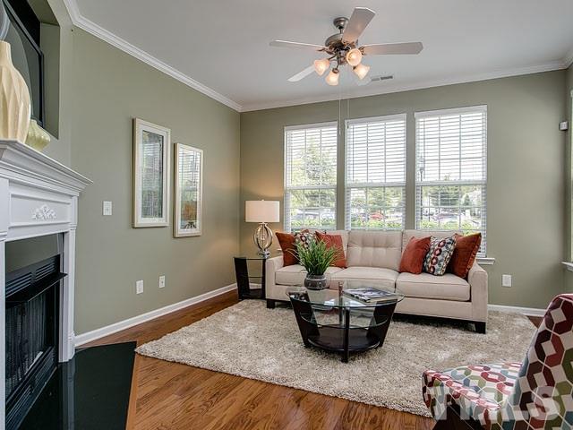 Loads of natural light - warm color palette!