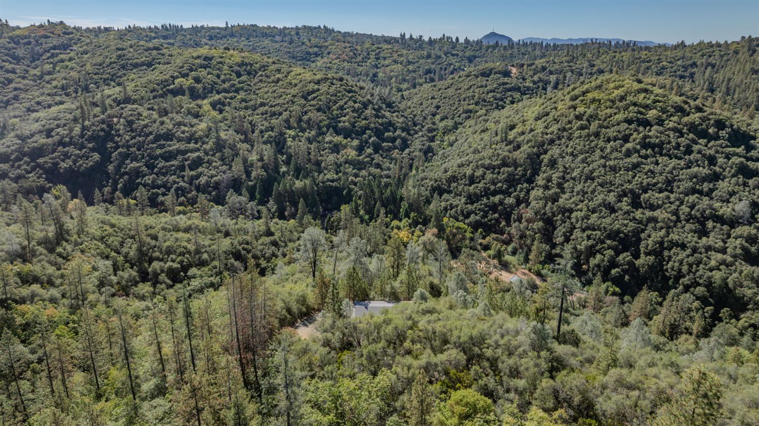15545 Sutter Creek Road Sutter Creek, CA 95685 - Photo 17 of 81 Gallery Image 17