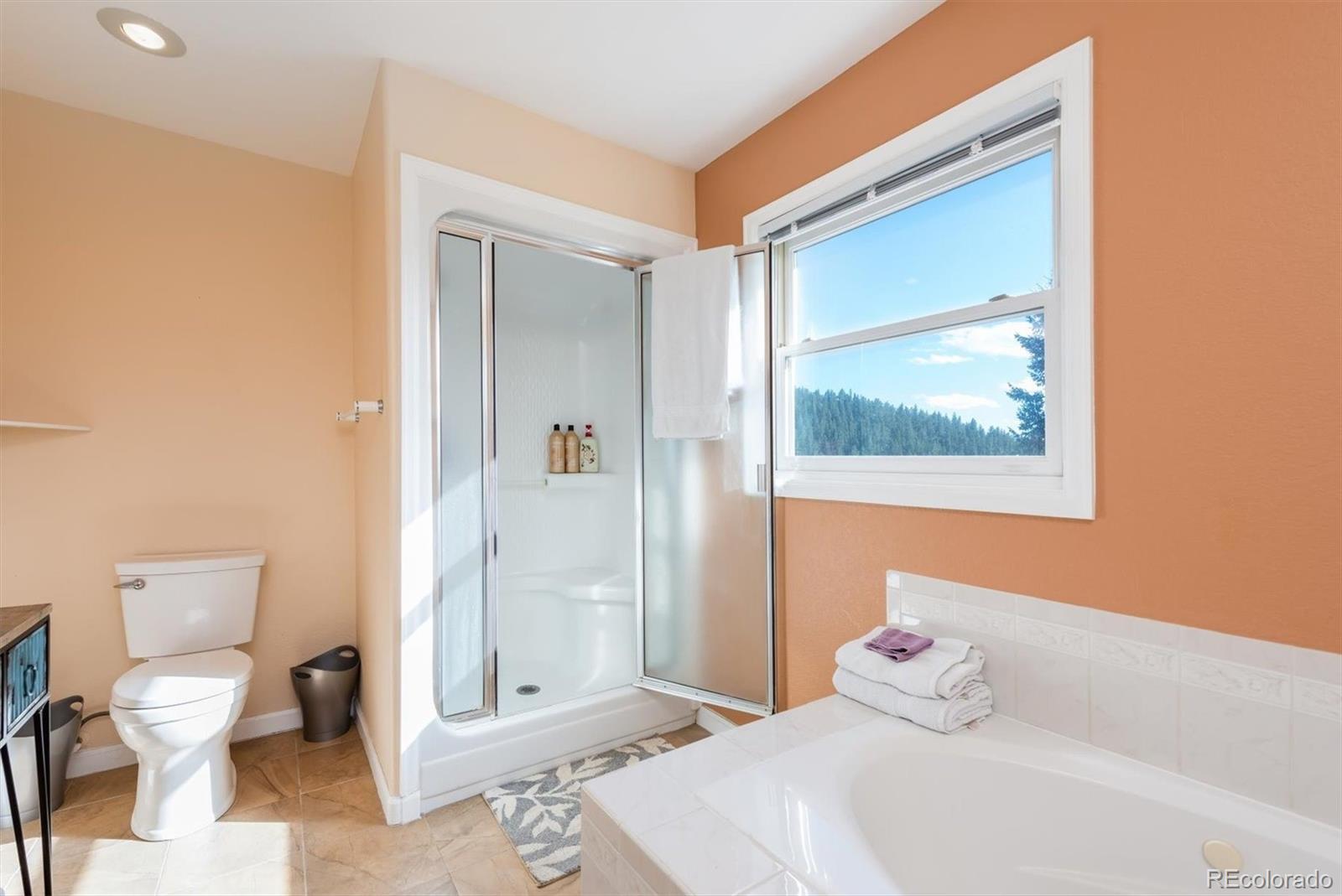 657 Evergreen Road Black Hawk, CO 80422 - Photo 23 of 37 Gallery Image 23