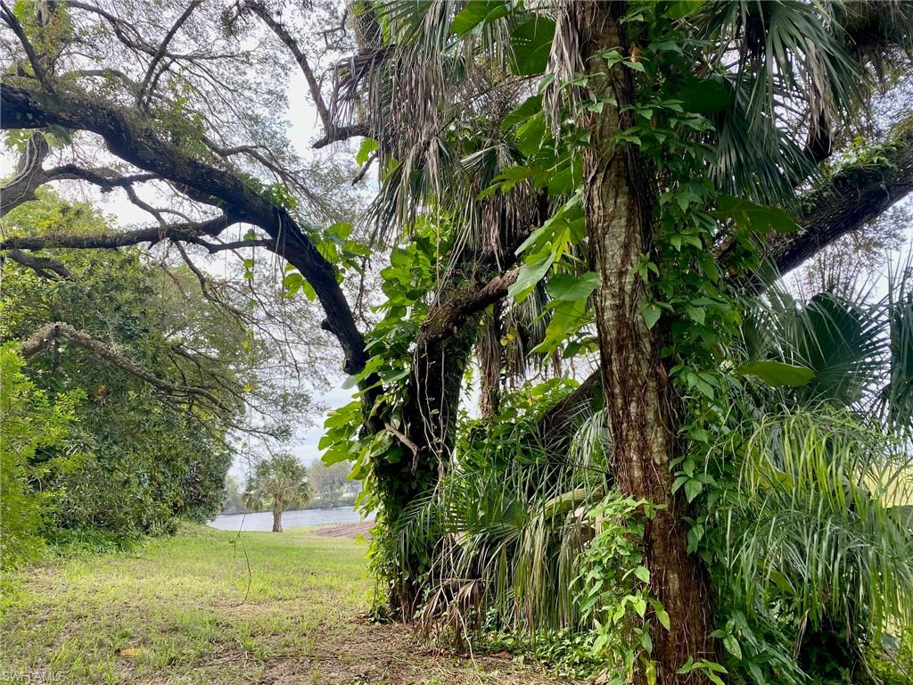 3771 Cr-78 LaBelle, FL 33935 - Photo 13 of 22 a view of a garden with a tree
