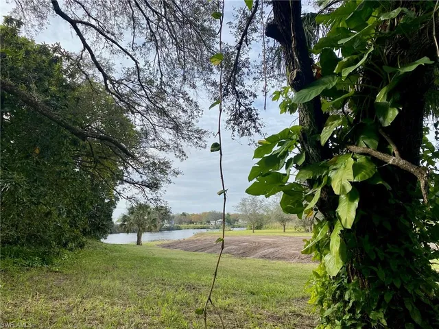 a view of a garden with a tree