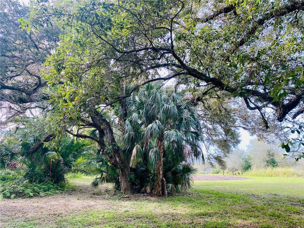 3771 Cr-78 LaBelle, FL 33935 - Photo 10 of 22 a view of yard with green space