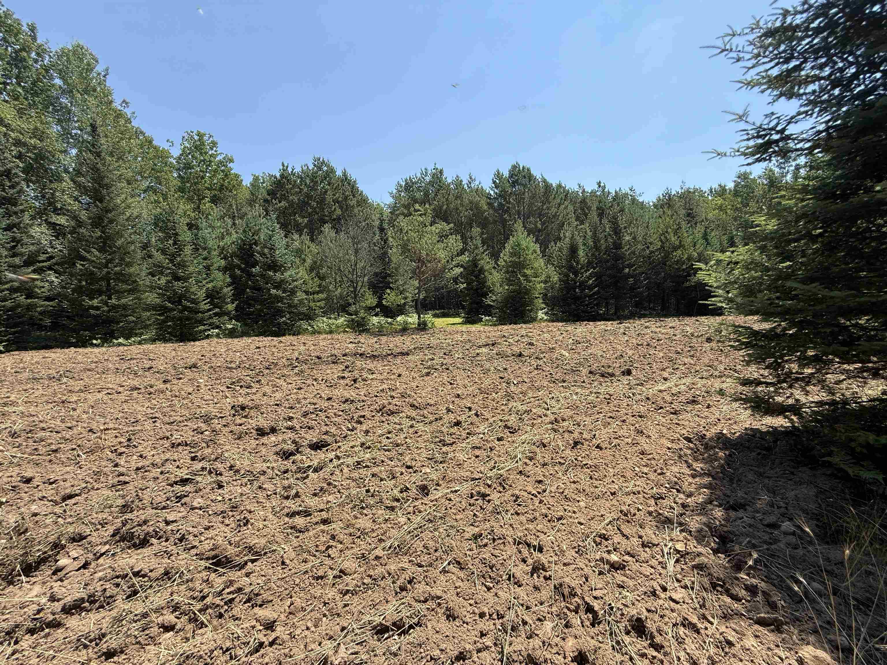 Red Hickory Road Eland, WI 54427 - Photo 10 of 28