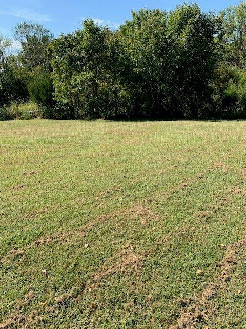 399 Lyons Road Owingsville, KY 40360 - Photo 3 of 11 Photo 3