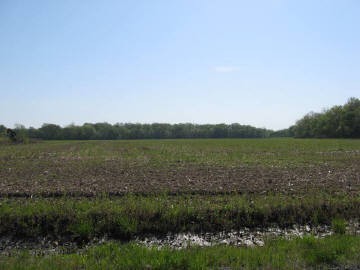 . Bobtail Road Macedonia, IL 62860 - Photo 1 of 1 Gallery Image 1