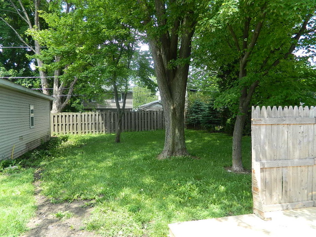 1416 Hainesville Road Round Lake Beach, IL 60073 - Photo 5 of 7 a view of a yard with a large trees