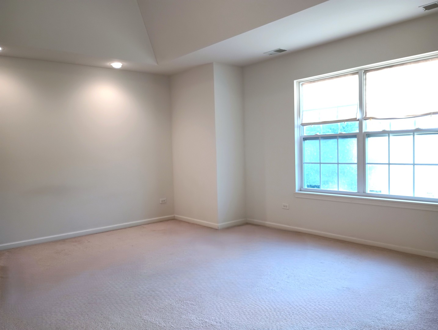 777 West Mystic Lane Romeoville, IL 60446 - Photo 18 of 35 an empty room with a window