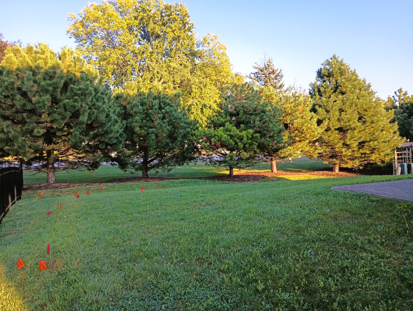 777 West Mystic Lane Romeoville, IL 60446 - Photo 32 of 35 a view of green field