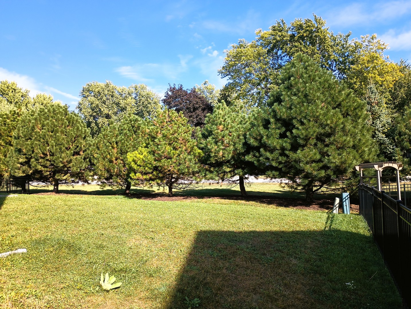 777 West Mystic Lane Romeoville, IL 60446 - Photo 35 of 35 a view of yard with swimming pool and green space