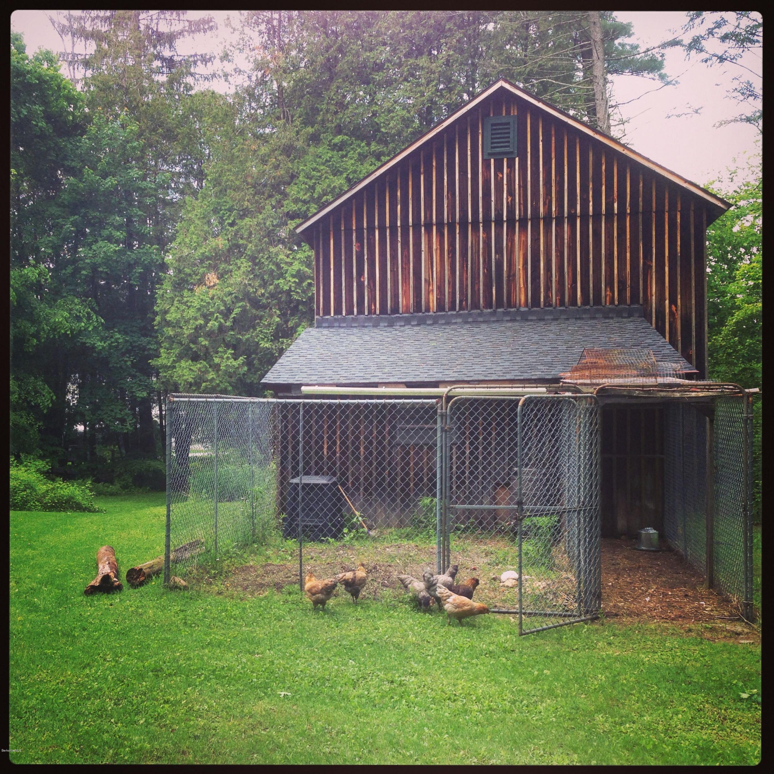 218 Old State Road Lanesborough, MA 01237 - Photo 32 of 40 chicken_ready