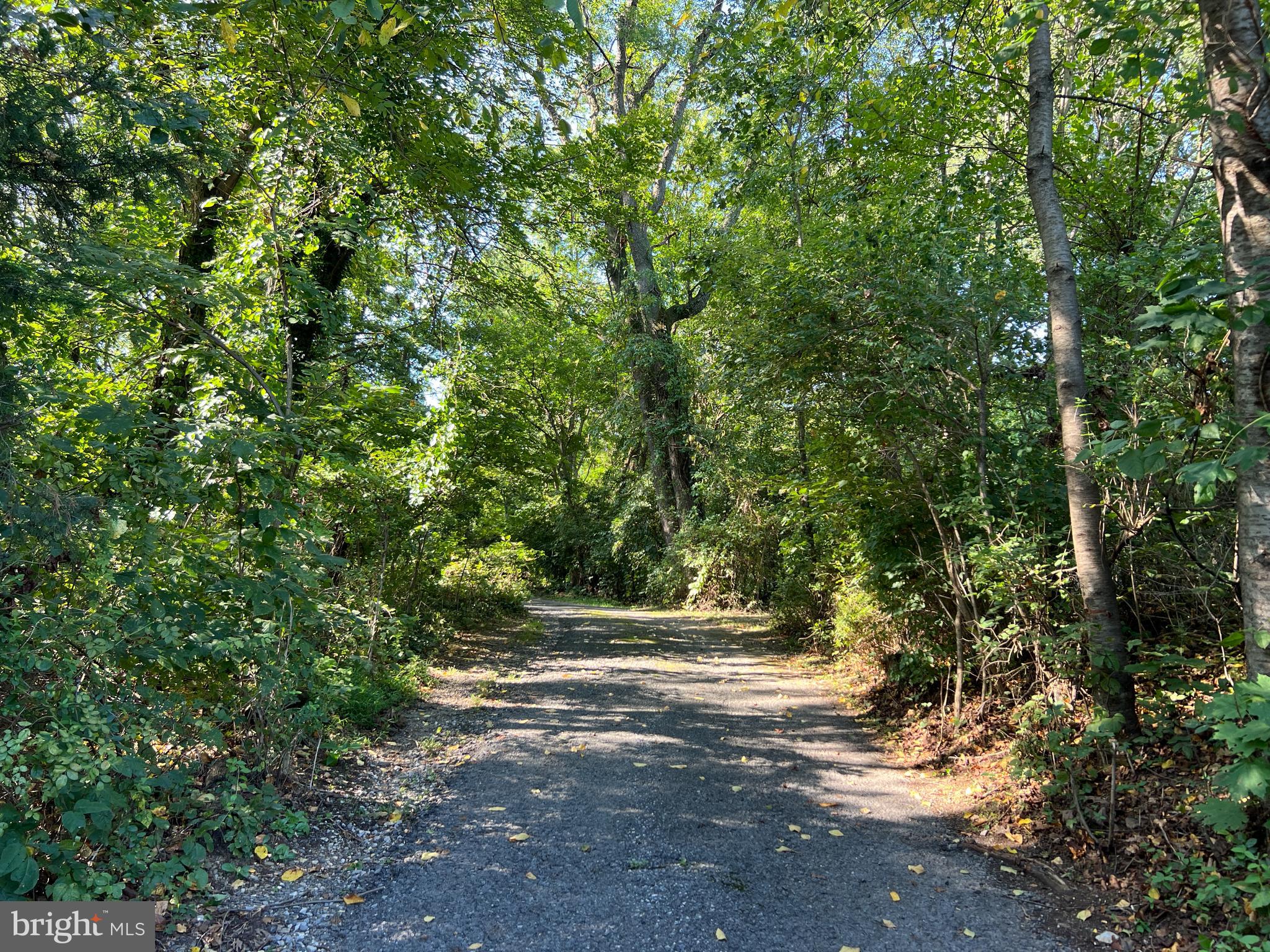 100 Foltz Road Shippensburg, PA 17257 - Photo 15 of 19