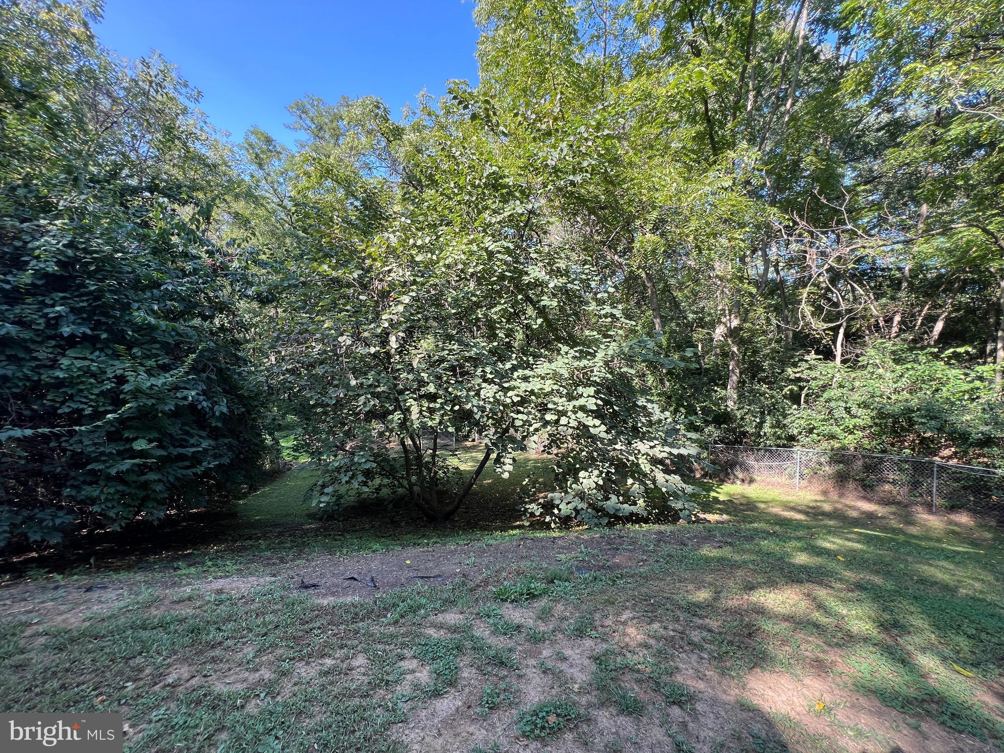 100 Foltz Road Shippensburg, PA 17257 - Photo 17 of 19 Private rear yard