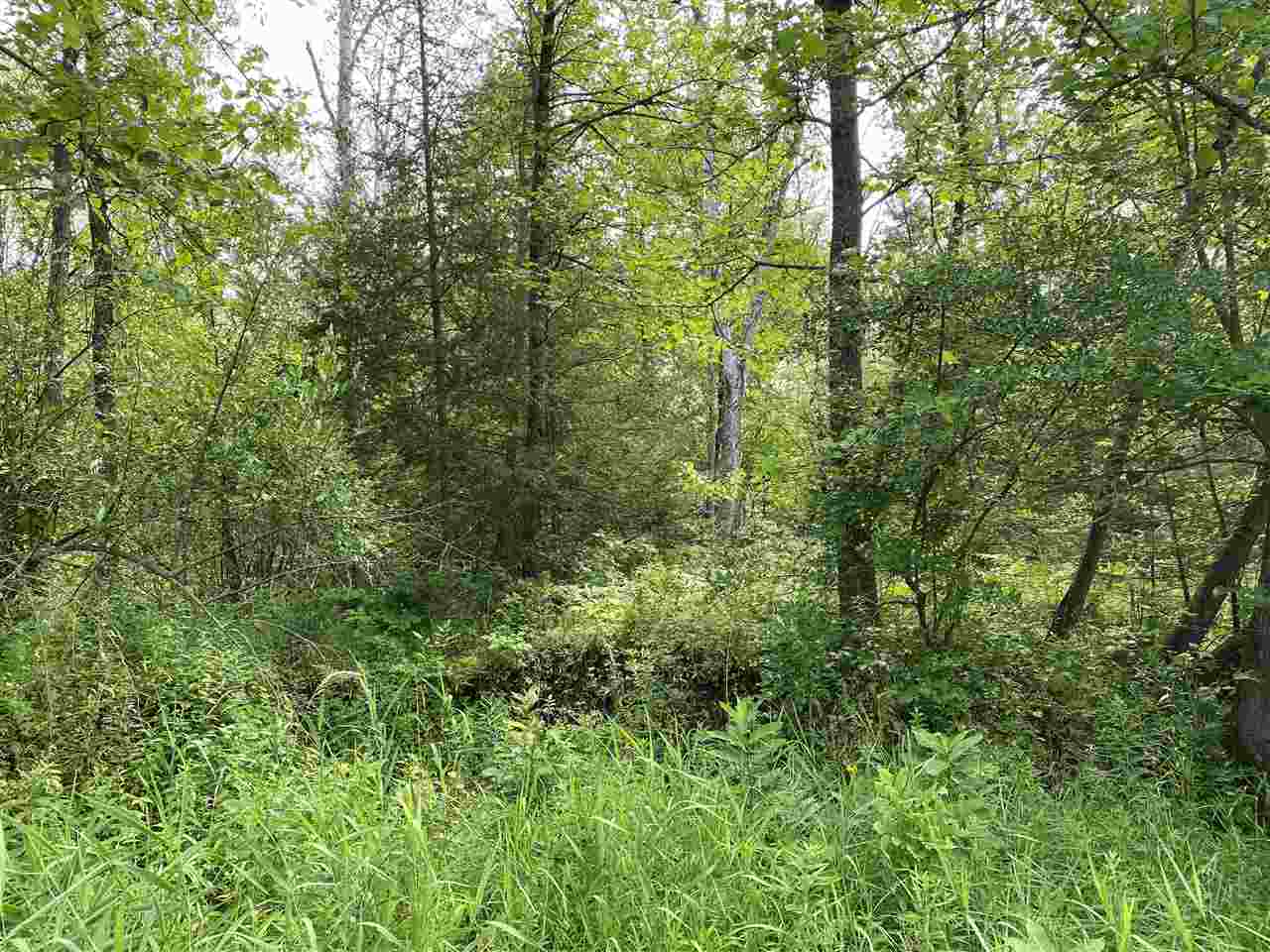 0 Briggs Road Omer, MI 48749 - Photo 44 of 45