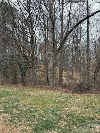 a big yard with lots of green space and deers