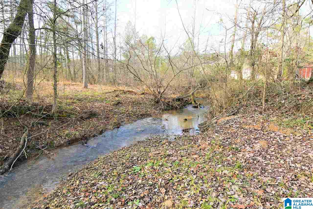 5535 Old Gallant Road Gallant, AL 35972 - Photo 40 of 50