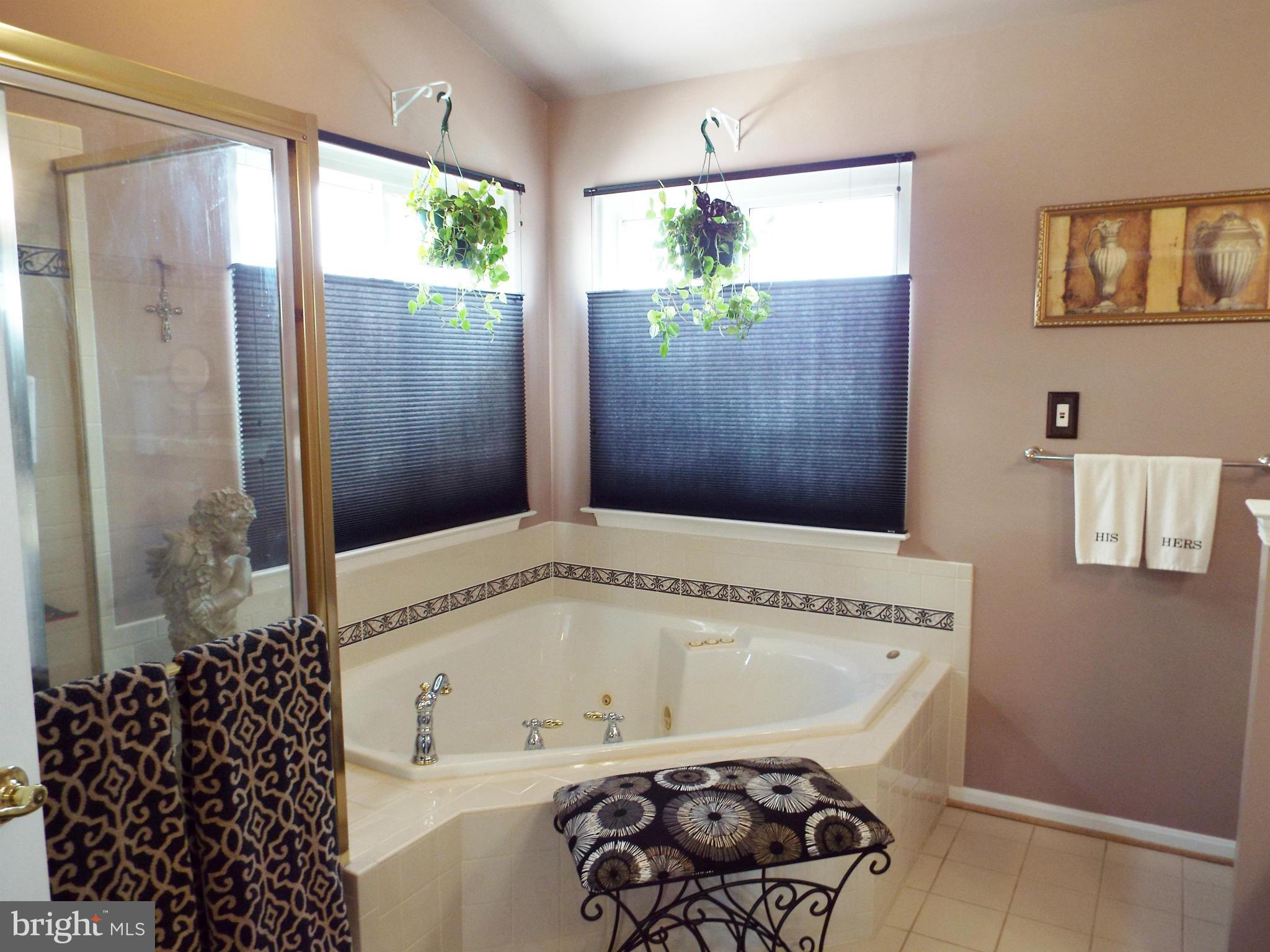 808 Autumn Ridge Road Culpeper, VA 22701 - Photo 17 of 30 Bath (Master)