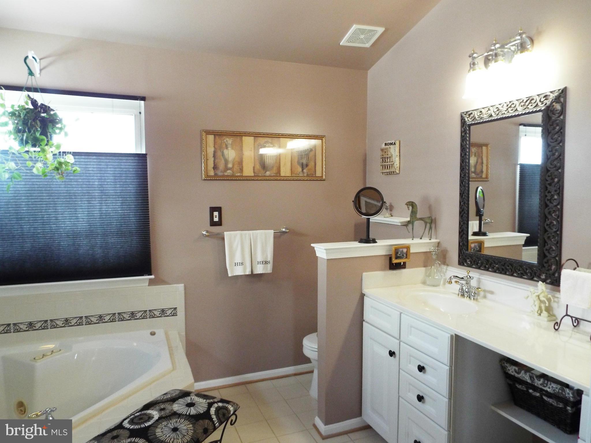 808 Autumn Ridge Road Culpeper, VA 22701 - Photo 18 of 30 Bath (Master)