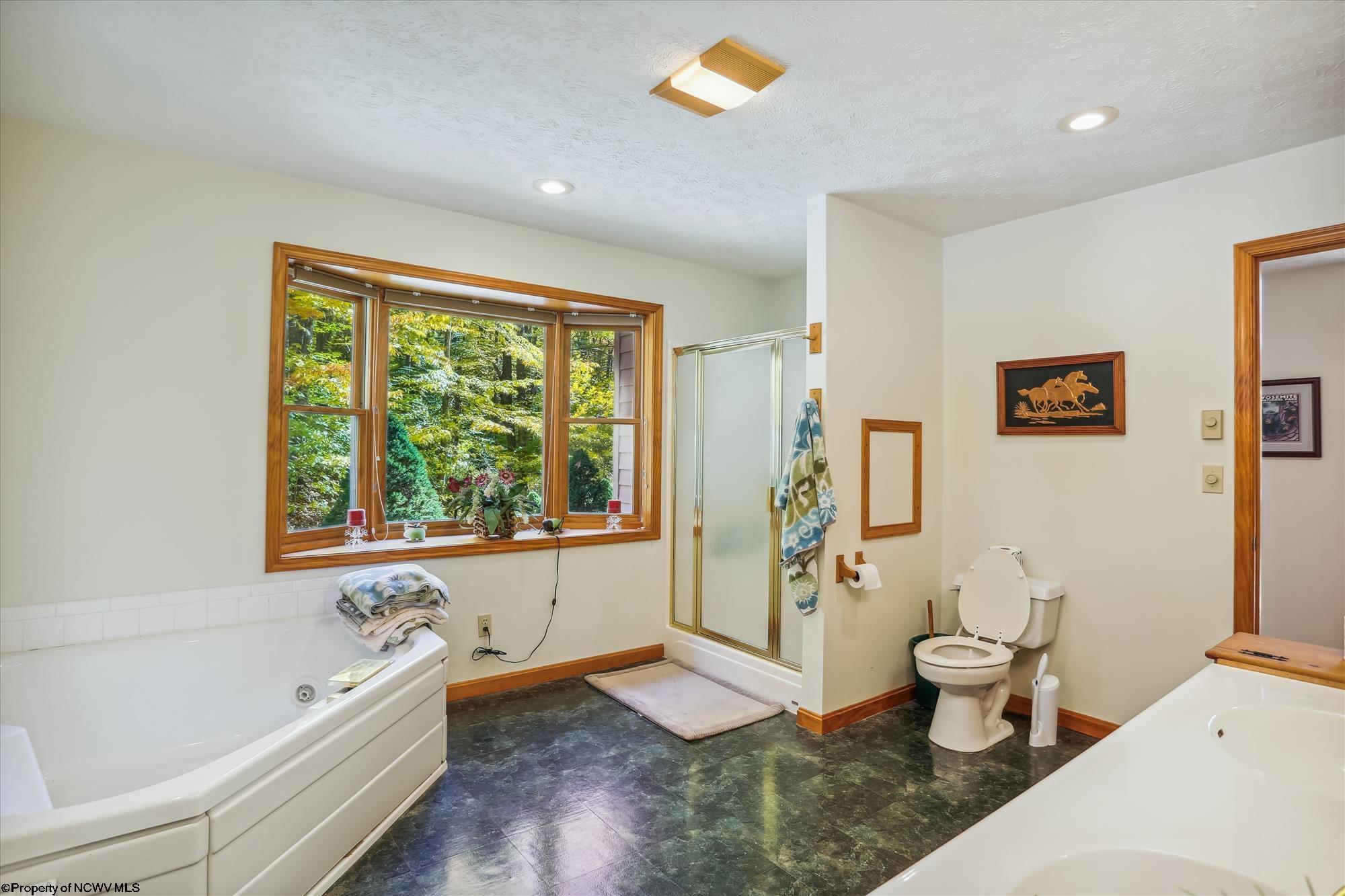 231 Cabin Mountain Road Davis, WV 26260 - Photo 12 of 28 Gallery Image 12