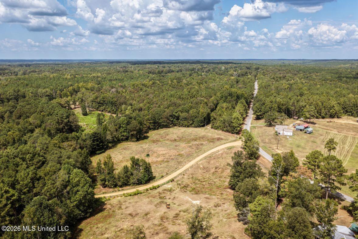 300 Center Crossing Road Kosciusko, MS 39090 - Photo 14 of 48 DJI_20260914124250_0176_D