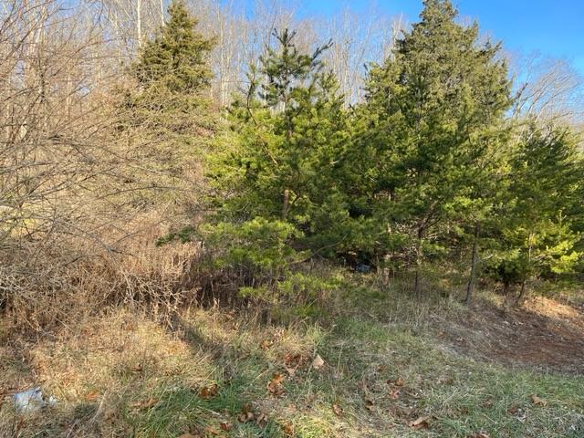 Vass Road Lindside, WV 24951 - Photo 1 of 1 Gallery Image 1