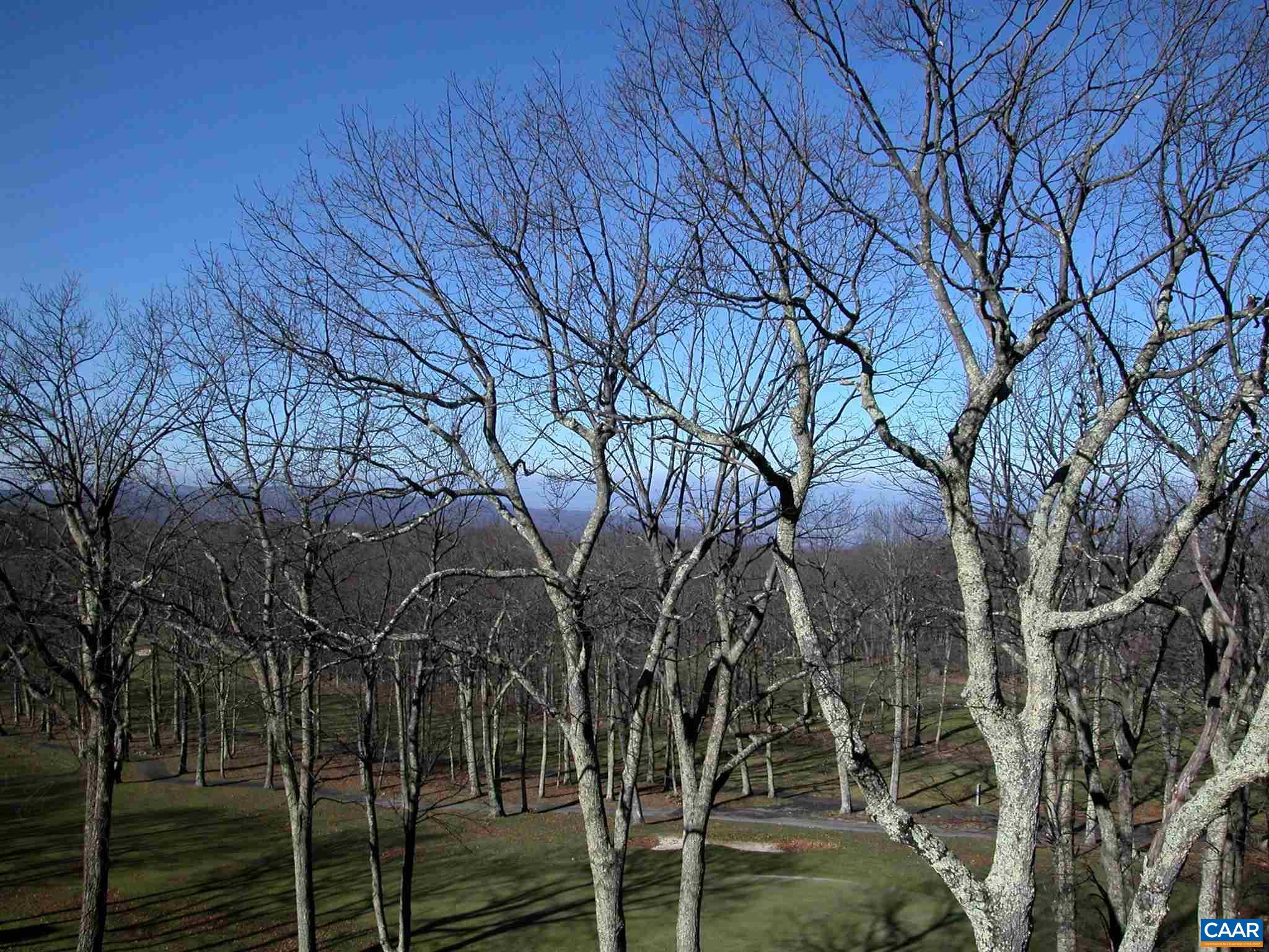 2069 Stone Ridge Wintergreen, VA 22967 - Photo 13 of 13 Gallery Image 13